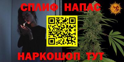 прущие грибы Кинель
