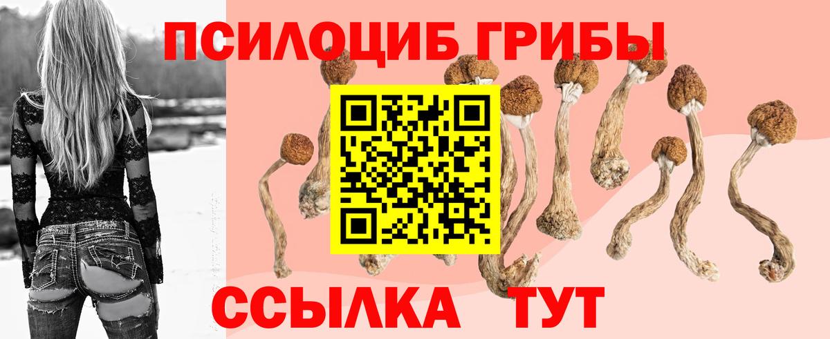 Коммунар  Псилоцибиновые грибы Cubensis  купить закладку  Вход с VPN 