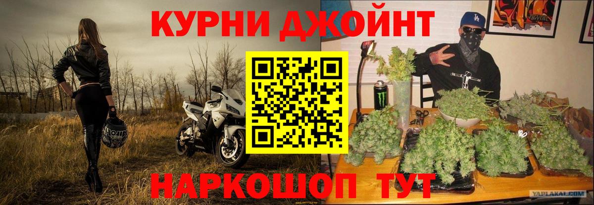Коммунар  Каннабис Amnesia  Каннабис семена  Вход с VPN  Бошки Шишки гибрид 